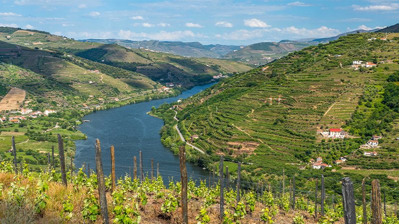 Scenic Riverside Town